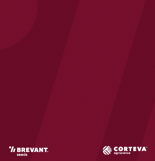 Brevant brand corn hybrids deliver - Brevant Enlist E3 soybeans deliver Brevant brand corn hybrids deliver - Brevant Enlist E3 soybeans deliver