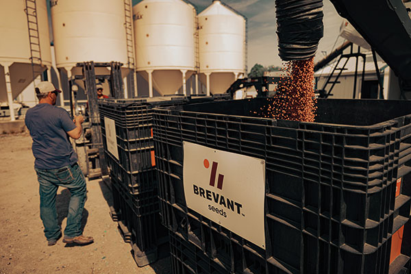 The depth of the Brevant seeds portfolio fills agronomic gaps to give farmers more choices